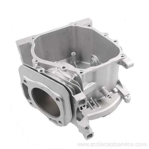 Adc12 aluminum die cast service Gasoline Engine Housing for Garden Tools